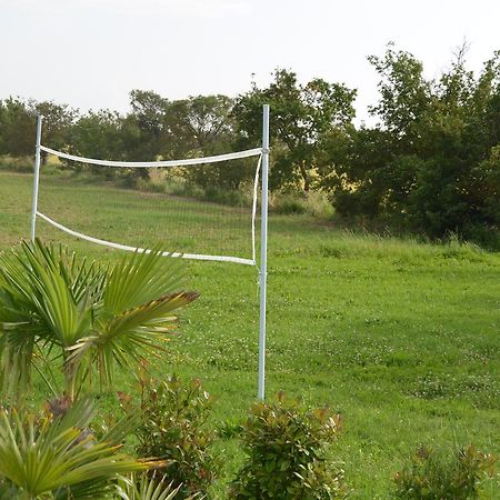 La Casa Di Nonna Armida Villa Castiglion Fiorentino Eksteriør billede